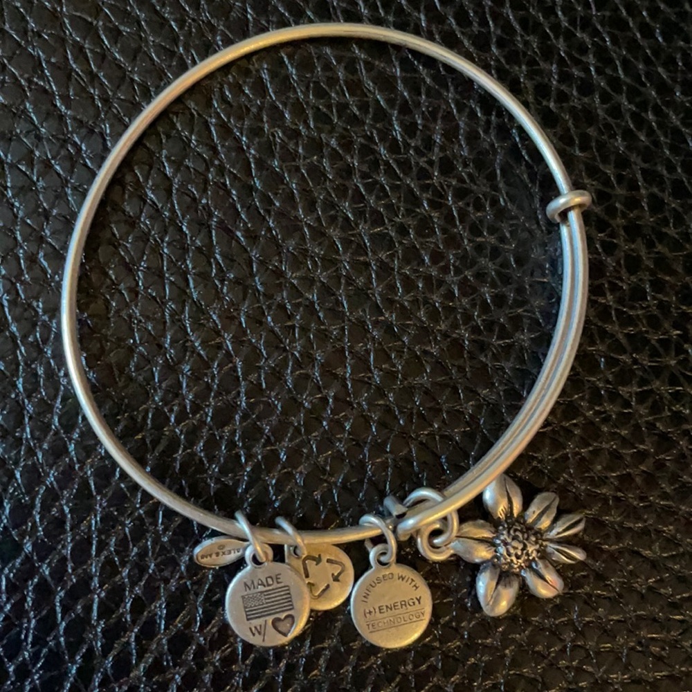 Alex and Ani silver bangle